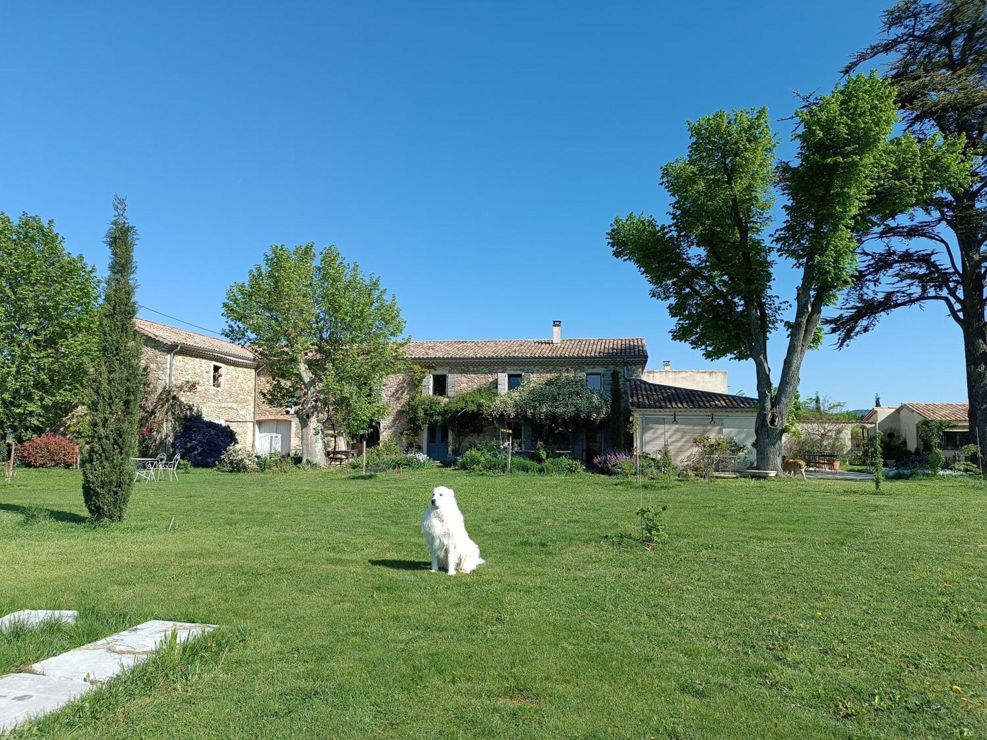 Bed and Breakfast La Boheme Charols Exterior foto